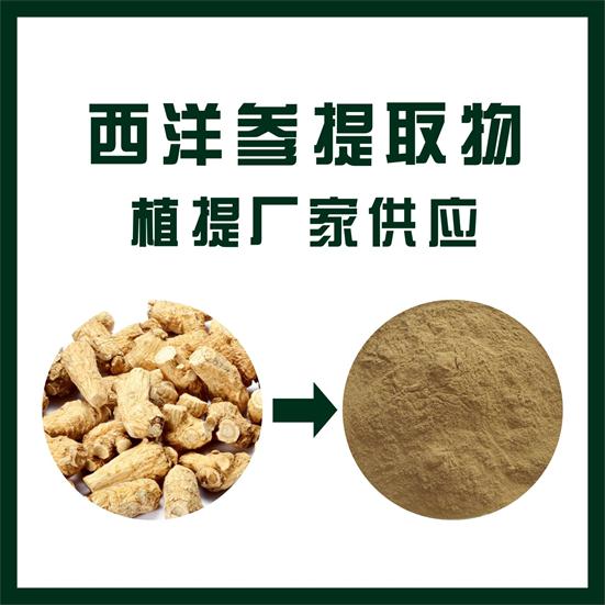 西洋参提取物