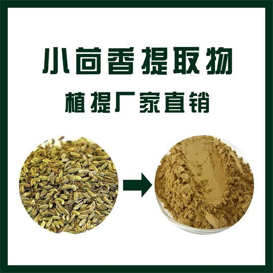 小茴香提取物