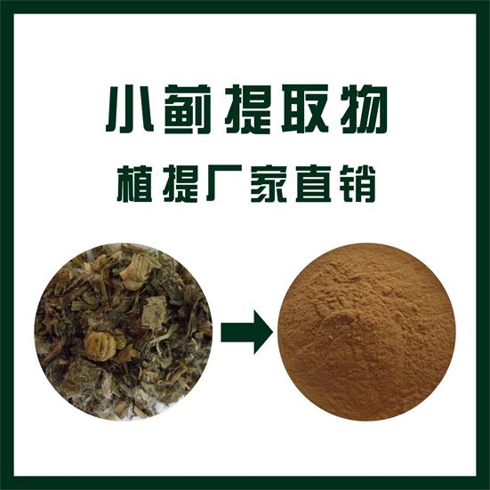 小蓟提取物