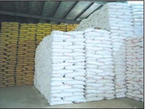 4-硝基邻苯二甲酸