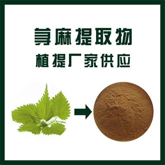 荨麻提取物