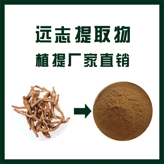 远志提取物