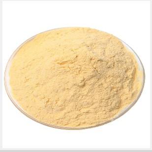 体重管理柑桔多酚