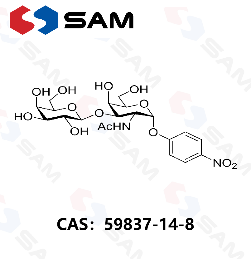 对硝基苯-T抗原