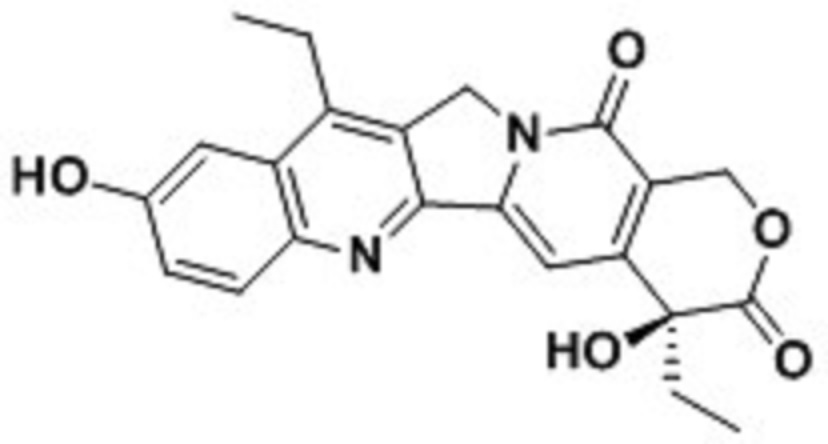 7-乙基-10-羟基喜树碱