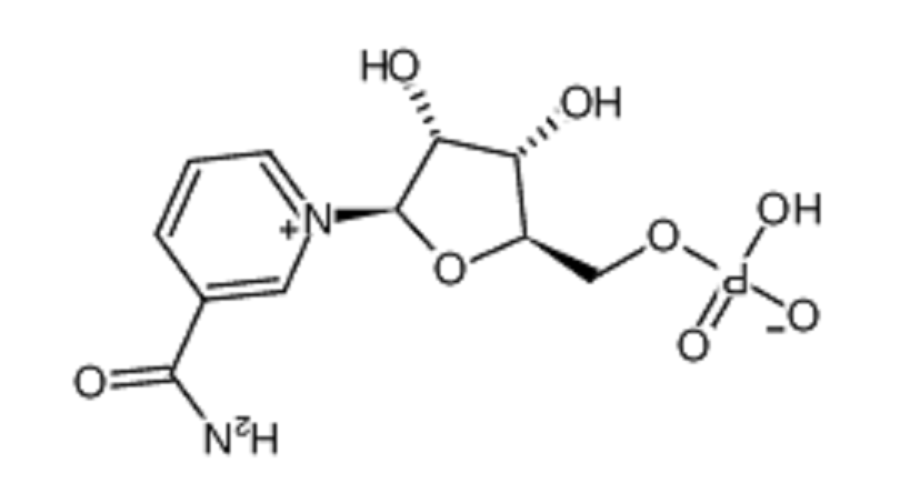 β-烟酰胺单核苷酸
