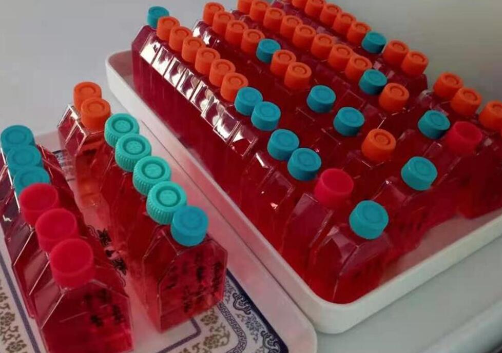 HCV-29人膀胱上皮细胞