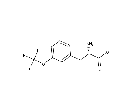 H-Phe(3-OCF3)-OH
