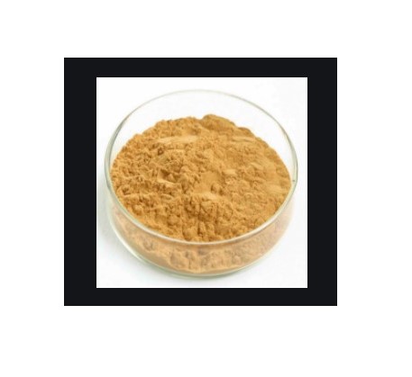 优势现货供应1,4-萘醌