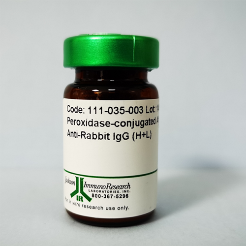无IgG、无蛋白酶的牛血清白蛋白BSA（50g）