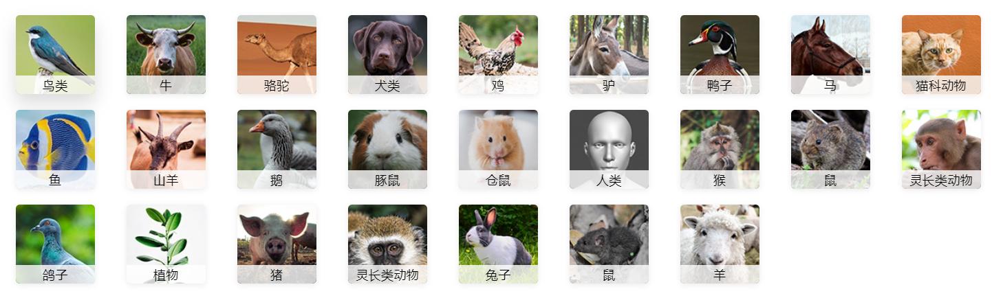 检测物种.png