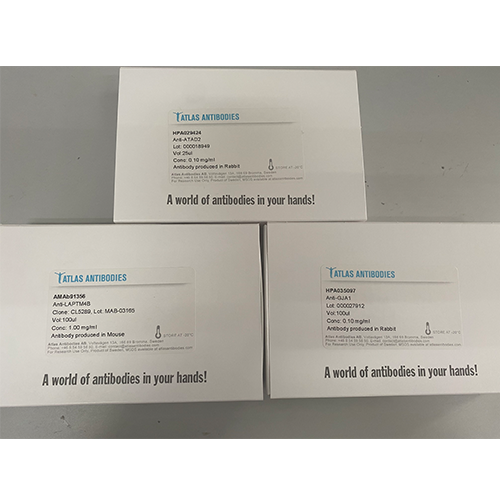 Atlas antibodies
