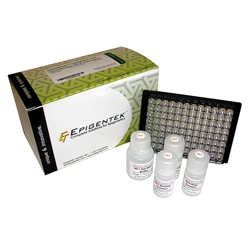 EpiQuik HDAC4分析试剂盒