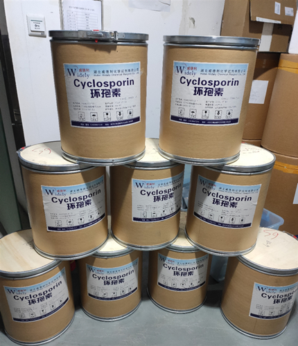 环孢素A59865-13-3