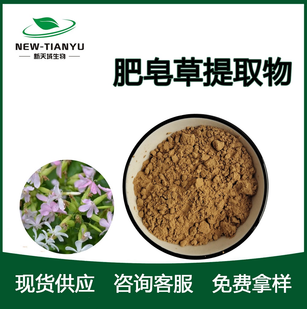 肥皂草提取物
