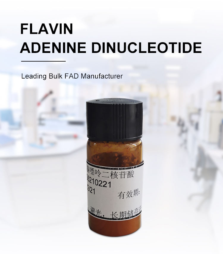 黄素腺嘌呤二核苷酸二钠