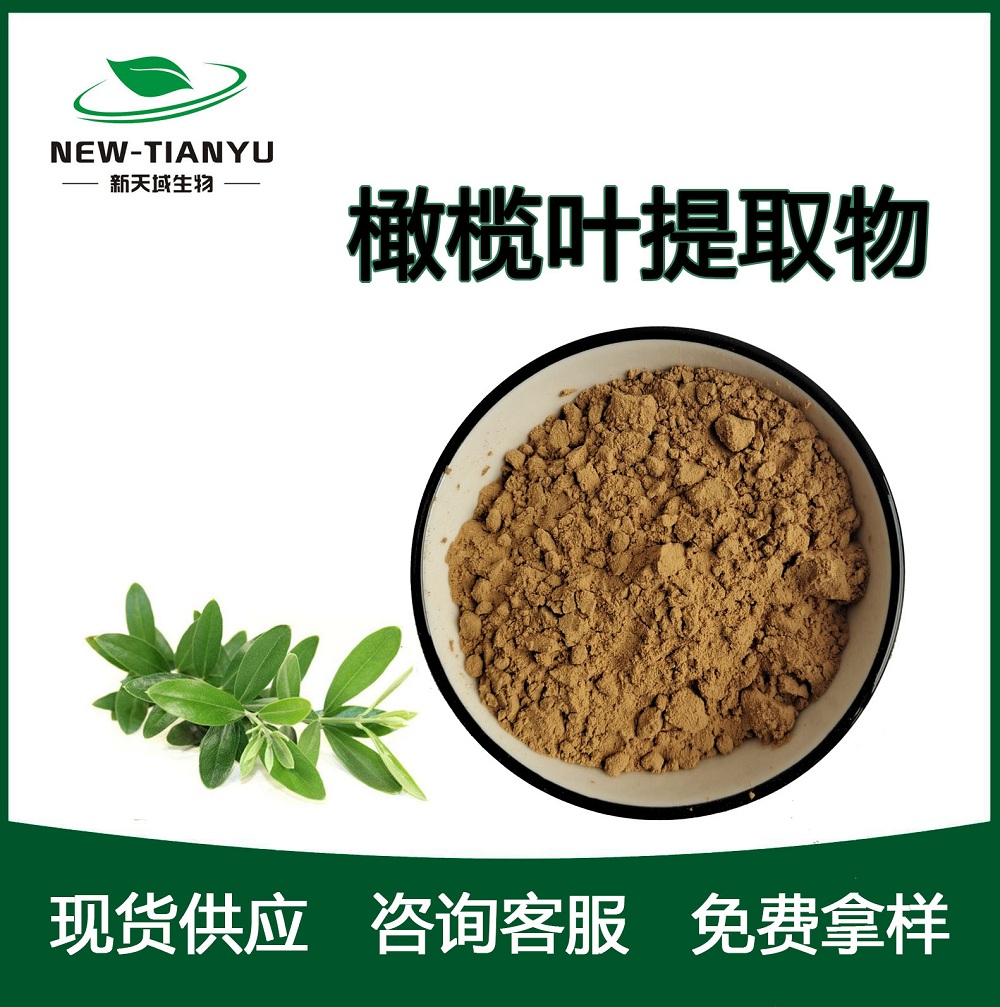 橄榄叶提取物