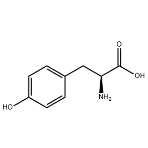 L-酪氨酸