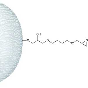 环氧琼脂糖凝胶6B