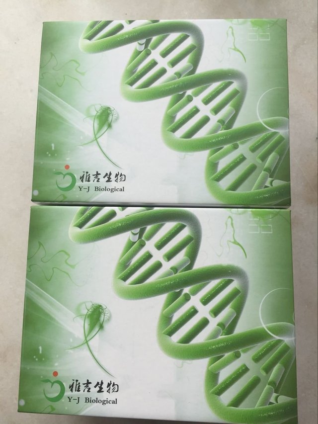 人鼻咽癌(NPC)Elisa试剂盒