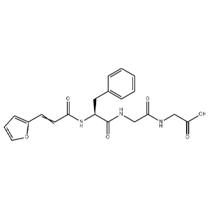 N-(3-(2-呋喃酰)丙烯酰-苯氨酰-谷氨酰-谷氨酸