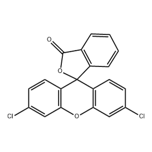 3'，6'-二氯荧光素