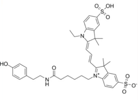 氰基-3-酪酰胺，Cyanine3 Tyramide，CAS:174961-75-2 