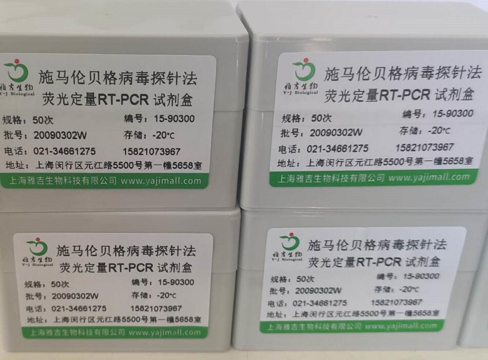 菜豆荚斑驳病毒RT-PCR试剂盒1