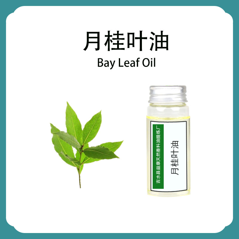 月桂叶油；月桂叶精油