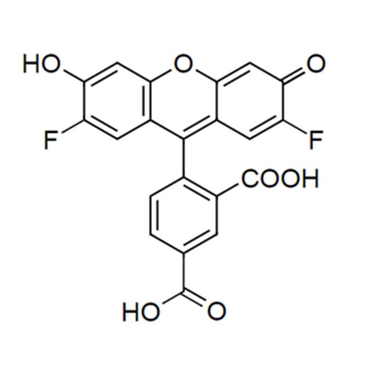 5-OG488羧基