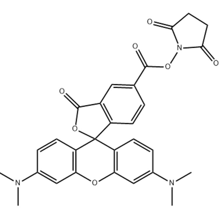 四甲基罗丹明-活性酯