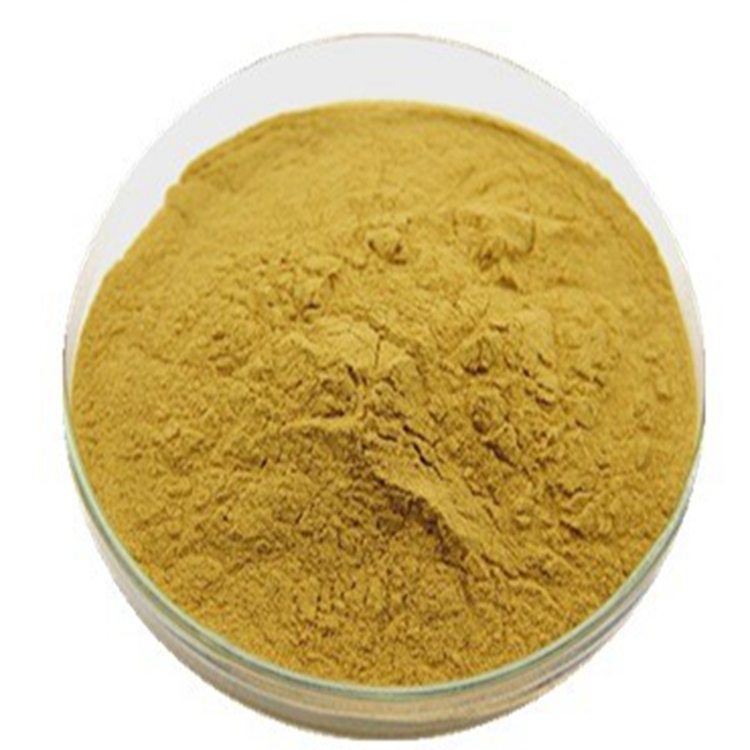 黄芪多糖 黄芪提取物