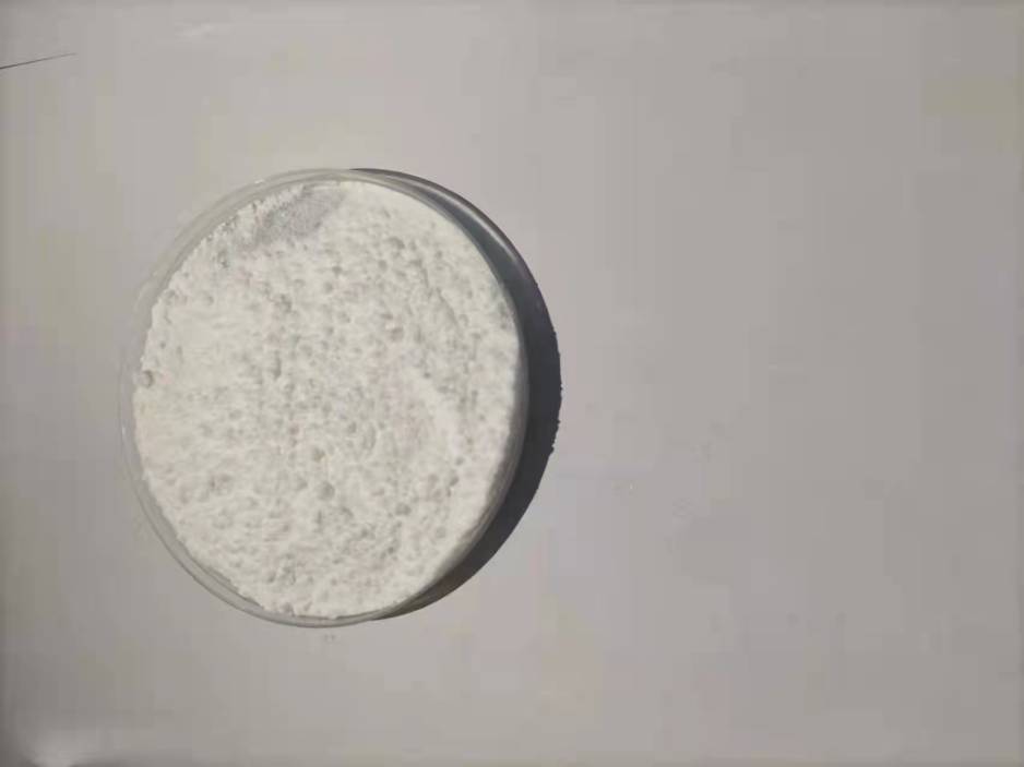 (R)-3-(4-苯氧基苯基)-1-(哌啶-3-基)-1H-吡唑并[3,4-D]嘧啶-4-胺