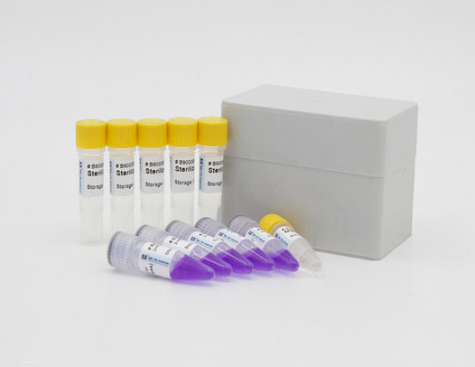 小鼠细小病毒(MVM)Elisa试剂盒