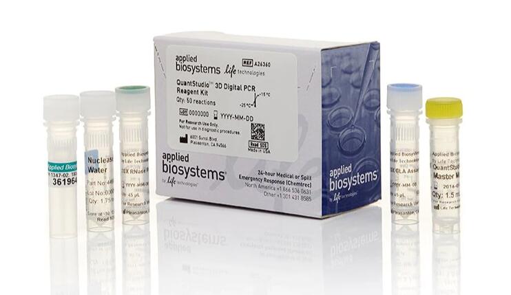 甘蔗凋萎病菌PCR试剂盒