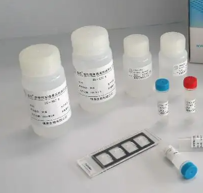 红霉素-N-脱甲基酶(ERND)比色法测试盒