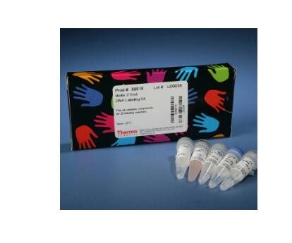 小鼠胰岛素样生长因子结合蛋白6(IGFBP-6)Elisa试剂盒