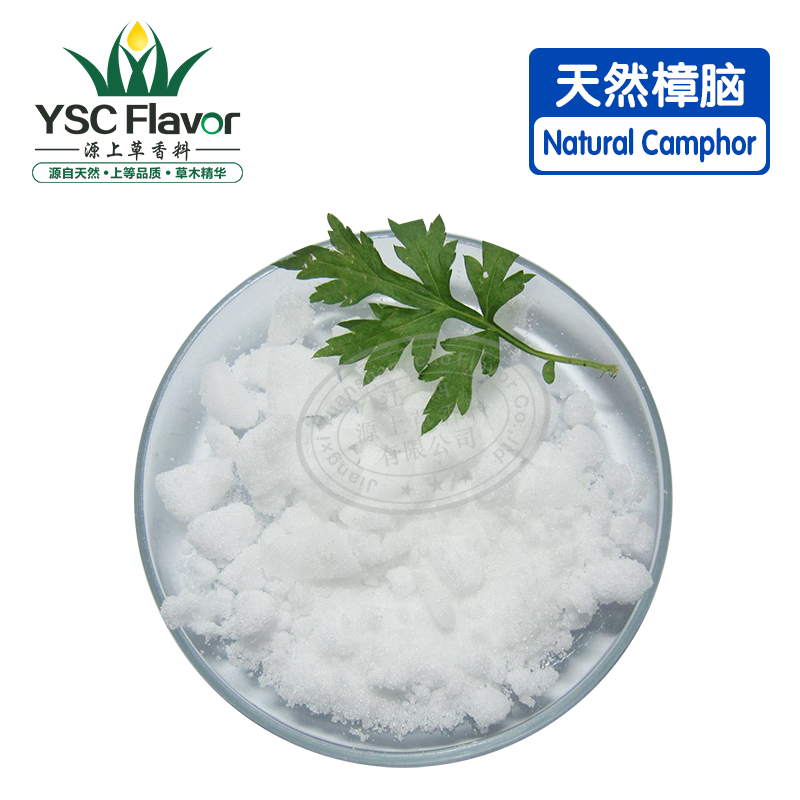 天然樟脑 右旋体樟脑原料 量大从优