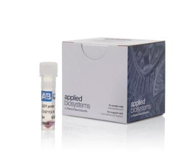 脑肿瘤细胞染色法神经组织染色试剂盒