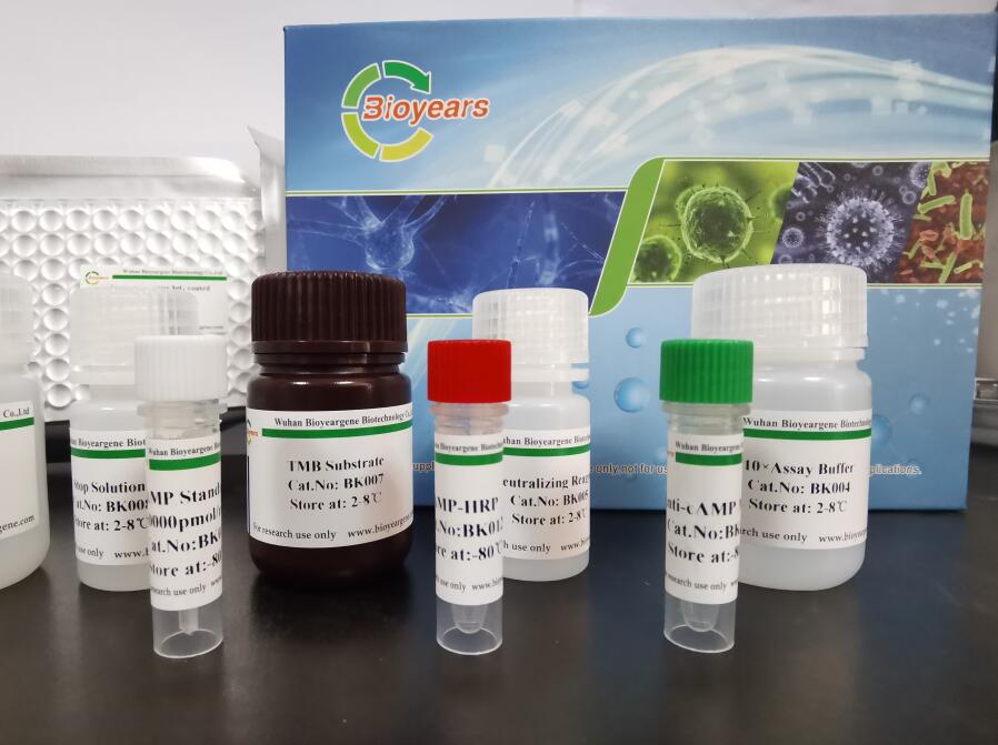 cAMP ELISA检测试剂盒
