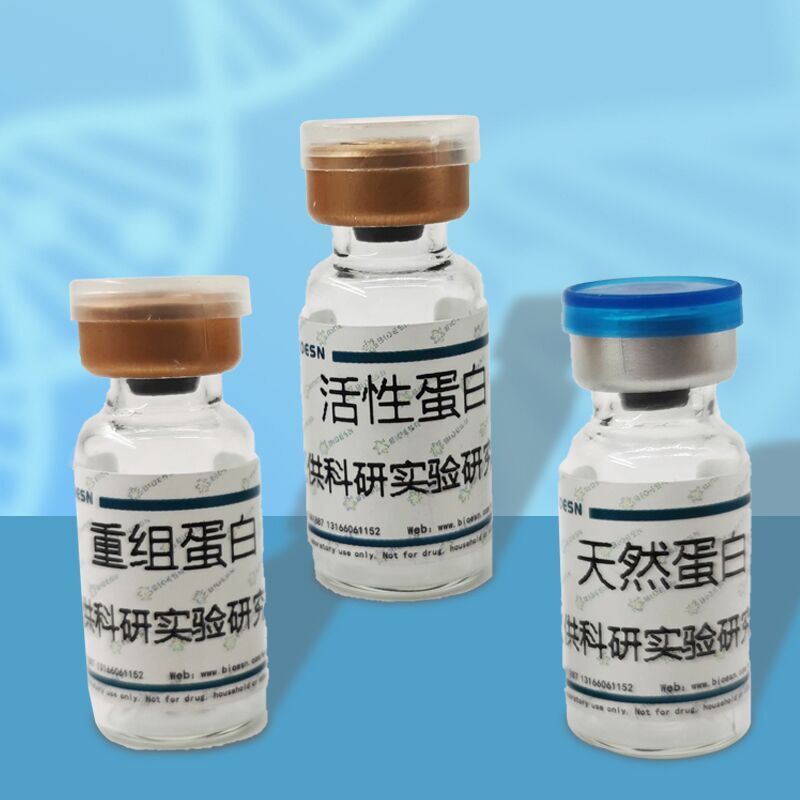 信号素3E(SEMA3E)重组蛋白