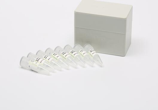 二磷酸核酮糖羧化酶（Rubisco）试剂盒