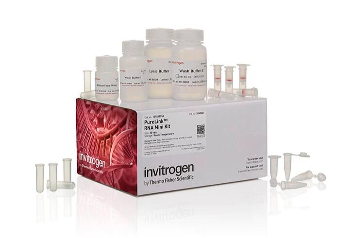 乙酰辅N-乙酰-β-D-葡萄糖苷酶（N-acetyl-β-D-glucosidase, NAG）试剂盒酶A（Acetyl-CoA）含量测定试剂盒