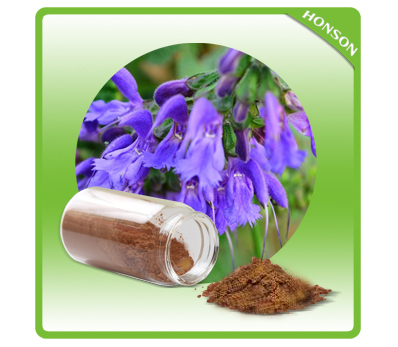 丹参提取物丹参素规格齐全厂家直供