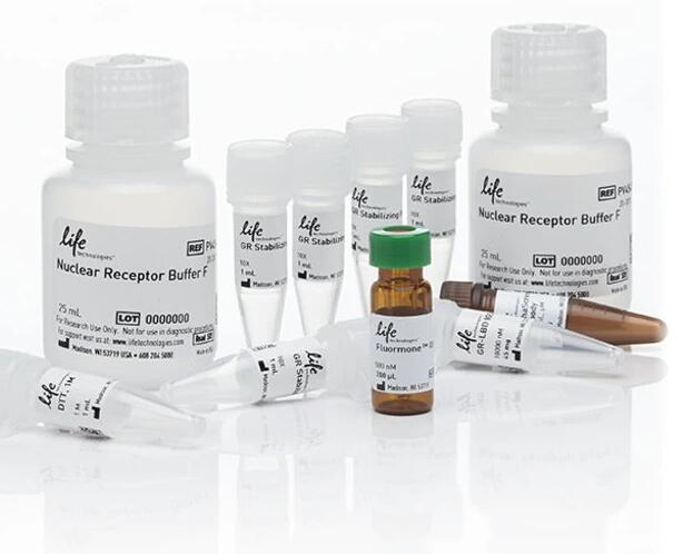 肠球菌通用染料法荧光定量PCR试剂盒