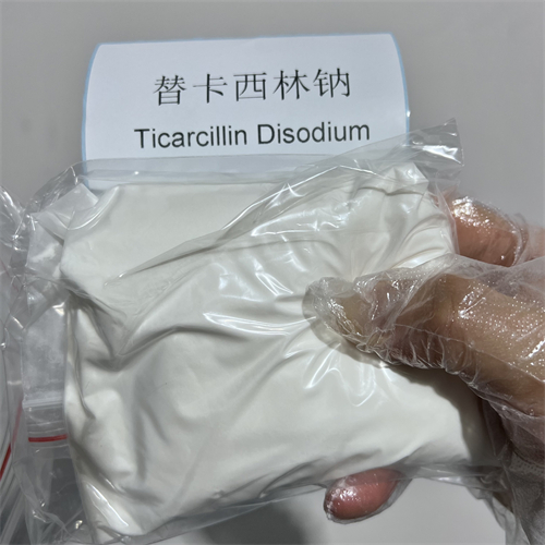替卡西林二钠；替卡西林钠