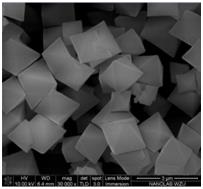 1648544421680127.png 21102528njza.png