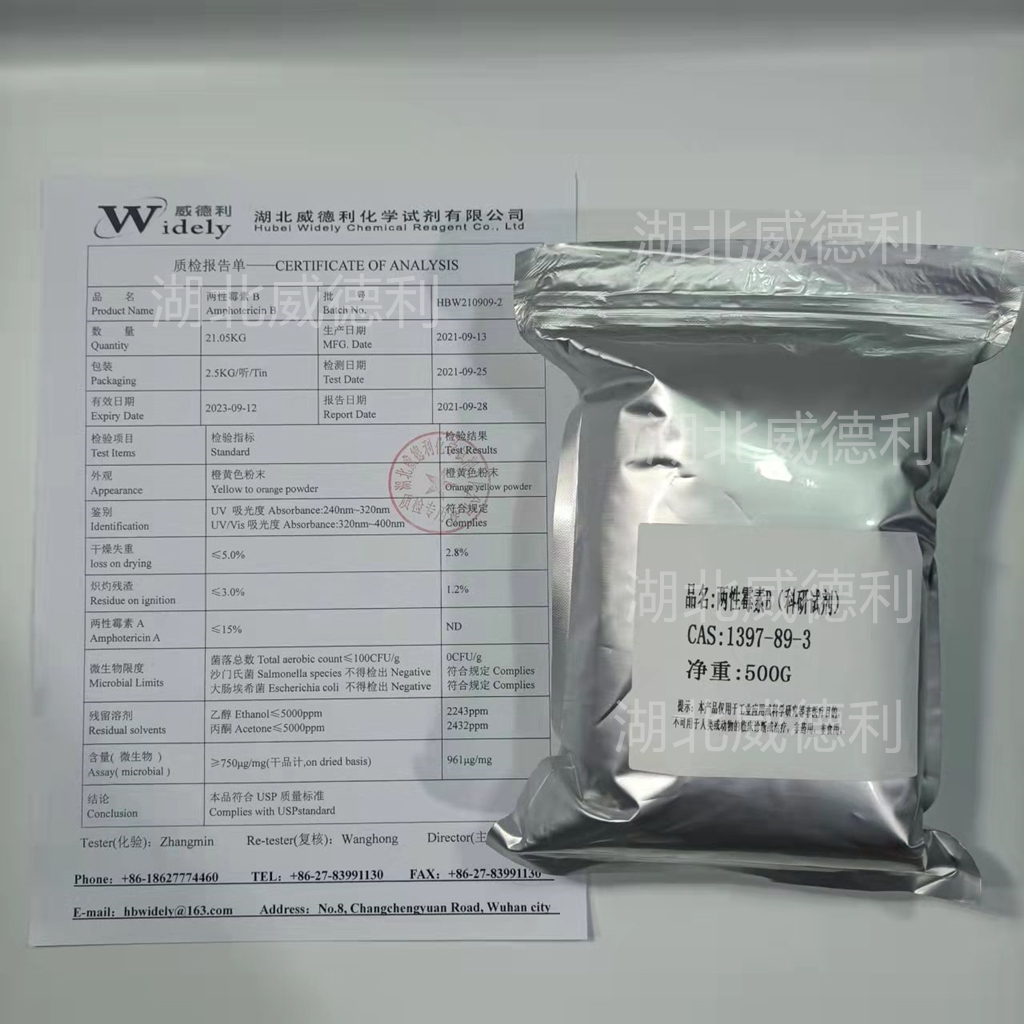两性霉素B