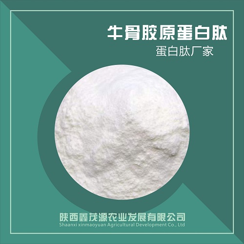 牛骨胶原蛋白肽