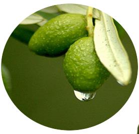 20180627012339121.jpg 20180627012339121.jpg